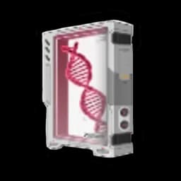 Amplification Sequence