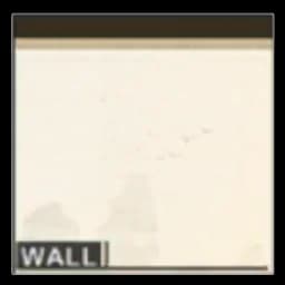 Chinese Wall