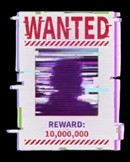 Cyber Bounty