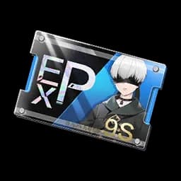 EXP-9S