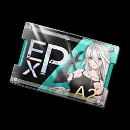 EXP-A2