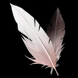 Fallen Feather