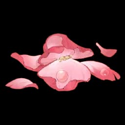 Fallen Flower