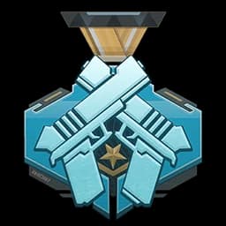 Pursuer's Medal