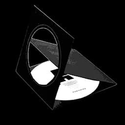Vinyl Record