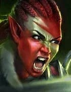 Raider