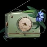 Ms. Radio