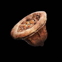 Eucalyptus Pod