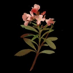 Fluorescent Rhododendron