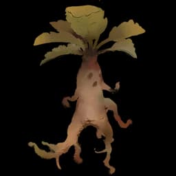 Mandrake