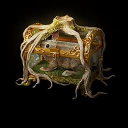 Rhizobox Rabbit