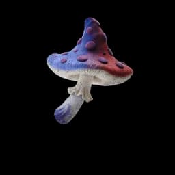 Superview Shroom