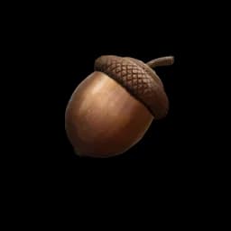 Tiny Acorn