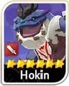 Hokin
