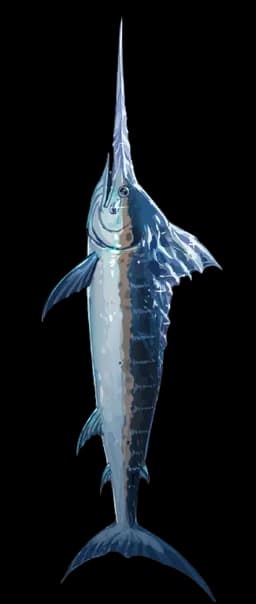 Secured Marlin Surfboard