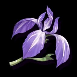 Bamboo Iris