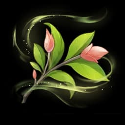 Bay Leaf