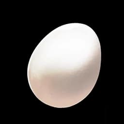 Bird Egg