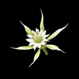 Blade Blossom