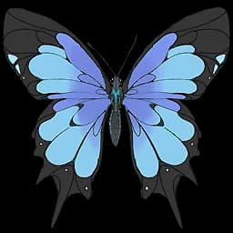 Blue Feather Butterfly