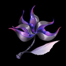 Dream of Stars