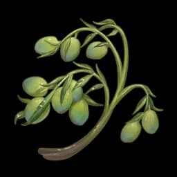 Felicitous Olives