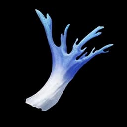 Frostwort