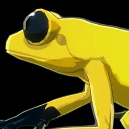 Goldenback Frog