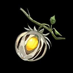 Lanternberry