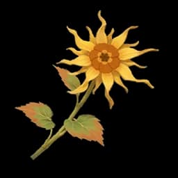 Luminous Calendula