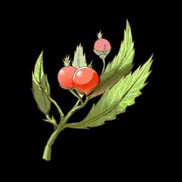 Noctemint