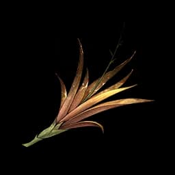 Pearl Leaf