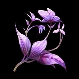 Perilla