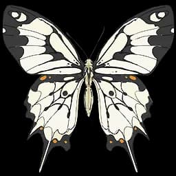 Phoenix Butterfly