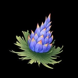 Pine Cone