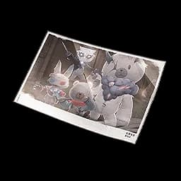 Plushies' Photo