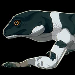 Silver-Banded Lizard