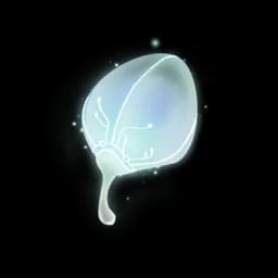 Soliseed of Essehalo