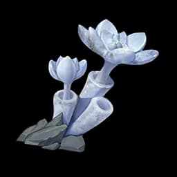 Stone Rose