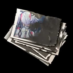 Tattered Photos