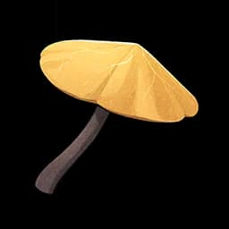 Umbragricus