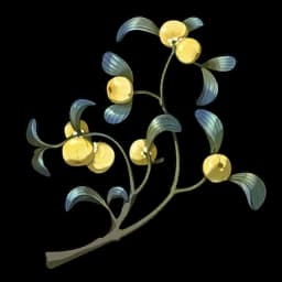 Viscum Berry