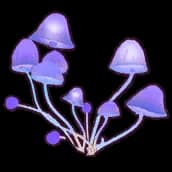 Firefly Mushroom