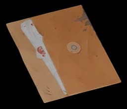 Paranormal Exploration Journal
