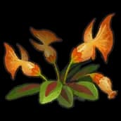 Snapdragon