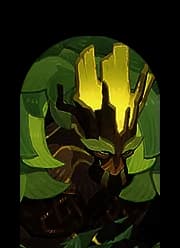 Ulmus