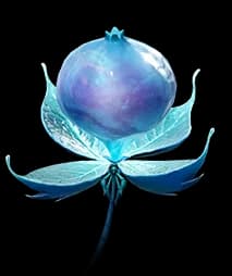 Waterlamp