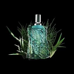 Breeze of Kjersch