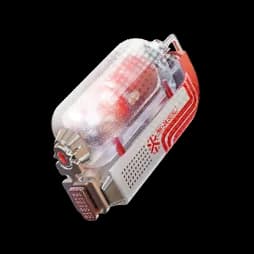 Buck Capsule (B)