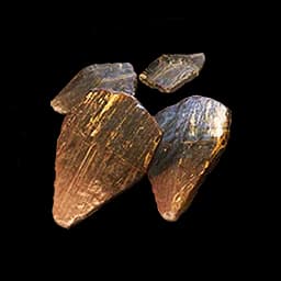 Caudal Goldscale